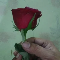Hot_khatun_69